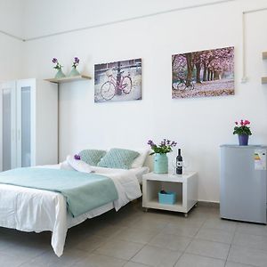 Hacarmel Apartment